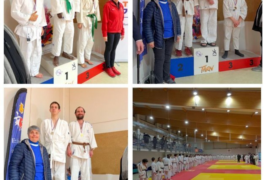 Championnat inter-départemental judo adapté à Réalmont.